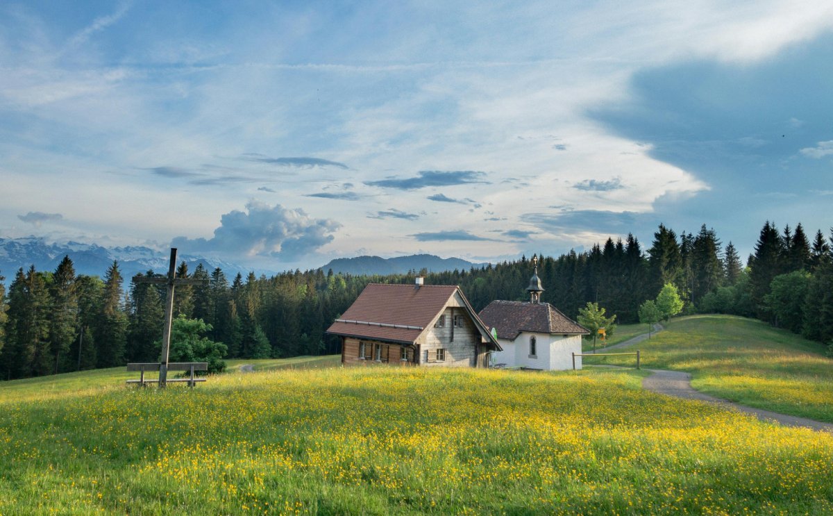 pexels-miandla-media-1108807